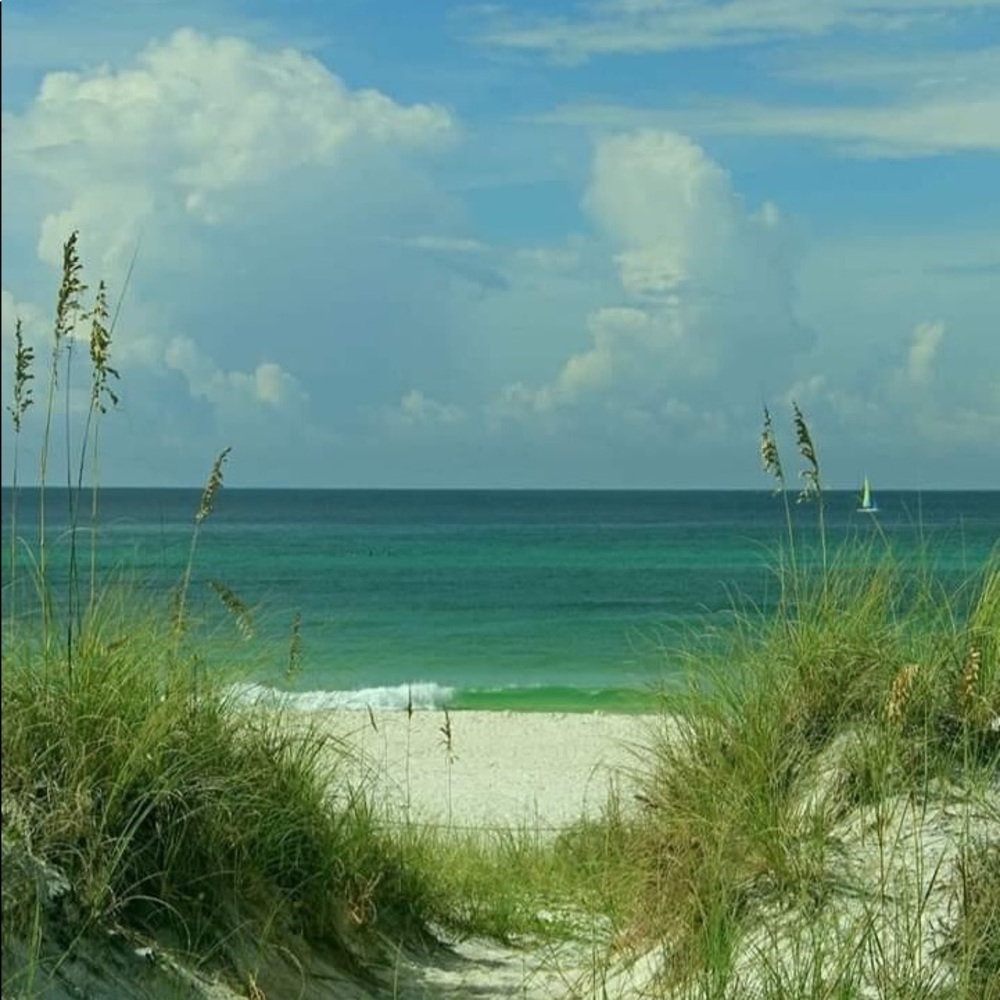 EVERYTHING IS $50.00!!!!!